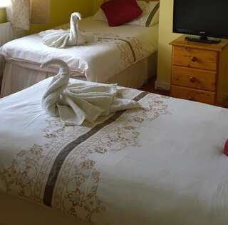 Отели типа «постель и завтрак» Mulberry Lodge B&B Уэстпорт Двухместный номер с 2 отдельными кроватями-1